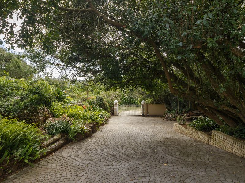 Experience Tranquil Living in this Serene Oasis in Port Alfred - Photo 5