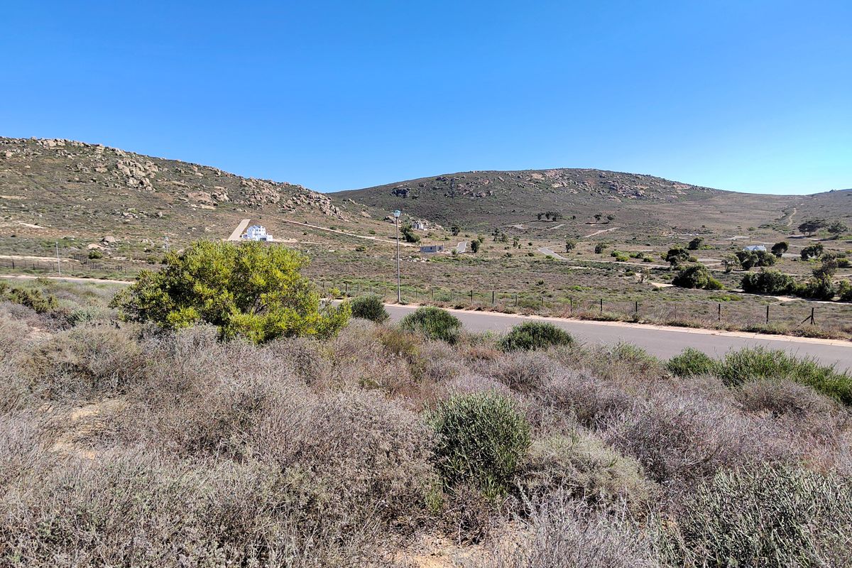 319m2 vacant land for sale in Steenbergs Cove - Photo 3