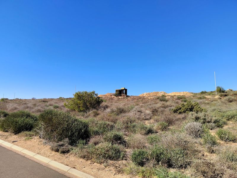 319m2 vacant land for sale in Steenbergs Cove - Photo 8