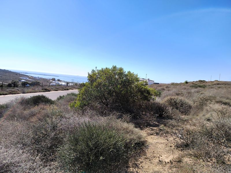 319m2 vacant land for sale in Steenbergs Cove - Photo 7