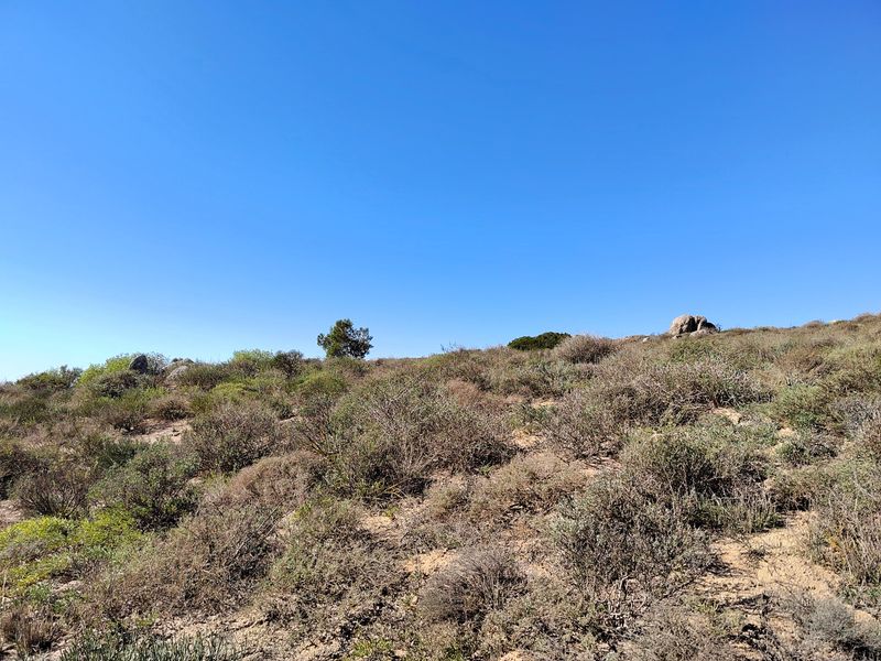 Vacant land for sale St Helena Bay - 296m2 of prime coastal property waiting for your dream Home - Photo 9