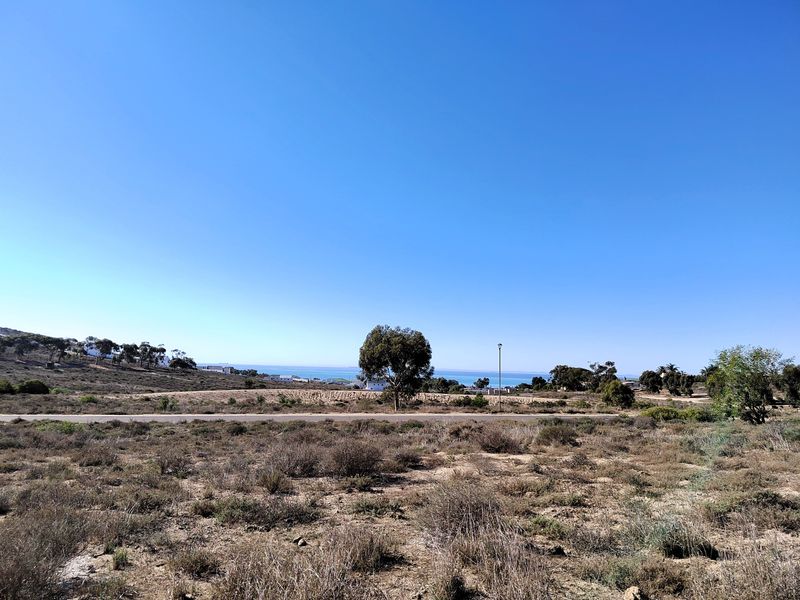 463m2 of prime opportunity awaits your dream home. - Photo 5