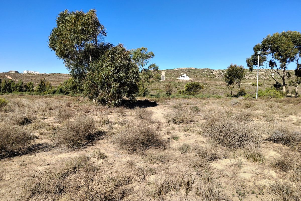 463m2 of prime opportunity awaits your dream home. - Photo 4