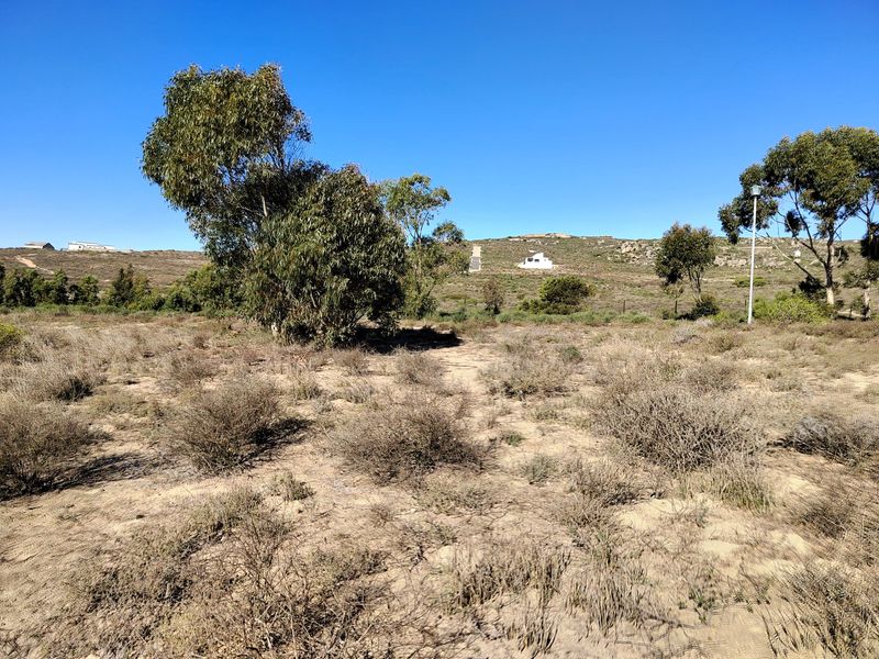 463m2 of prime opportunity awaits your dream home. - Photo 4