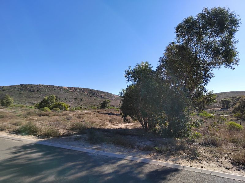 463m2 of prime opportunity awaits your dream home. - Photo 10