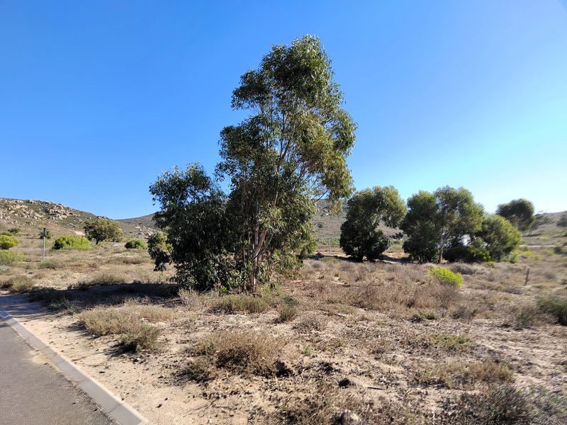 463m2 of prime opportunity awaits your dream home. - Photo 9