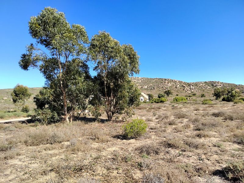 463m2 of prime opportunity awaits your dream home. - Photo 8