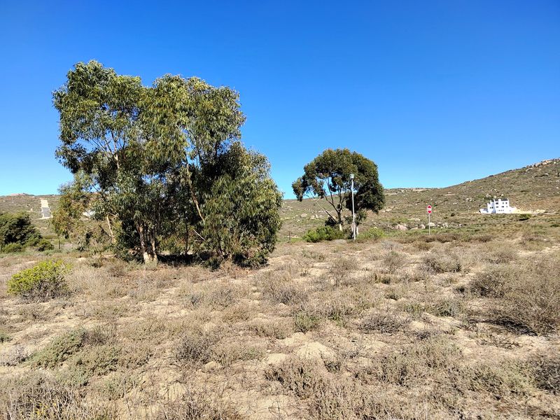 463m2 of prime opportunity awaits your dream home. - Photo 7