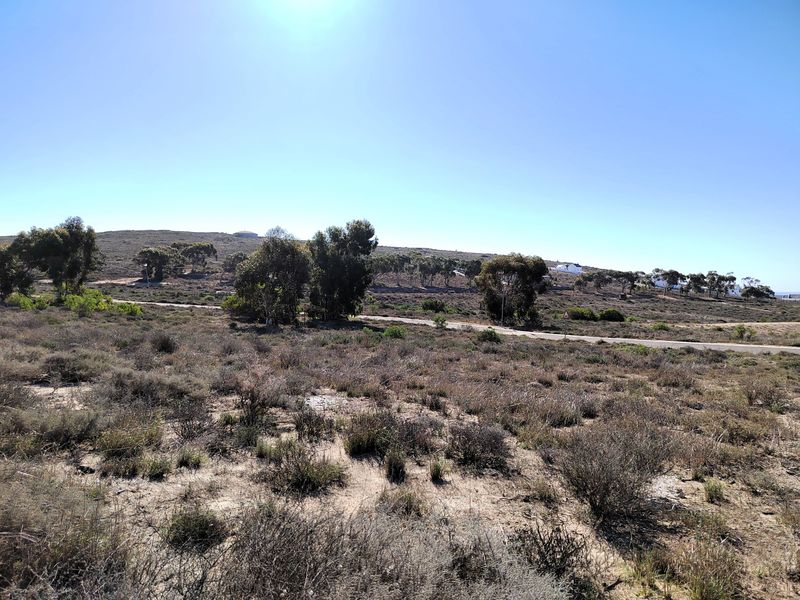 463m2 of prime opportunity awaits your dream home. - Photo 6