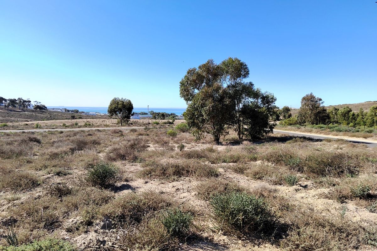 463m2 of prime opportunity awaits your dream home. - Photo 2