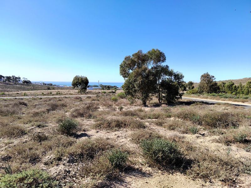 463m2 of prime opportunity awaits your dream home. - Photo 2