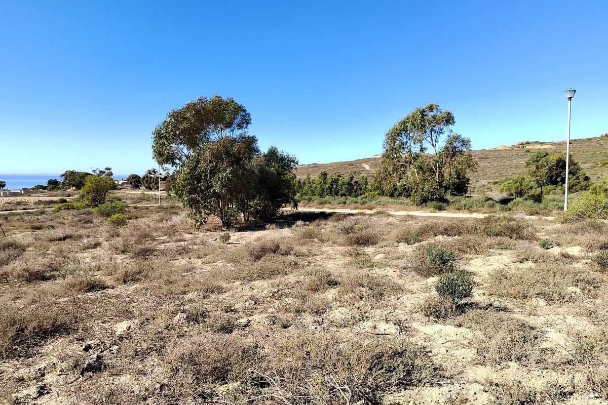 463m2 of prime opportunity awaits your dream home. - Photo 3