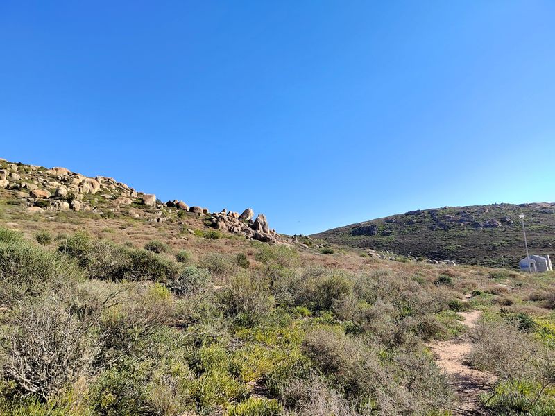 Incredible opportunity to own a 408m2 vacant land in Kapteins Kloof - Photo 10