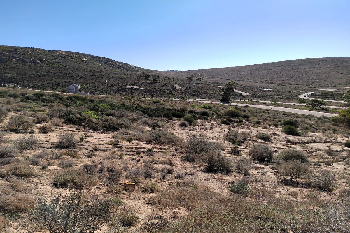 Incredible opportunity to own a 408m2 vacant land in Kapteins Kloof - Photo 3