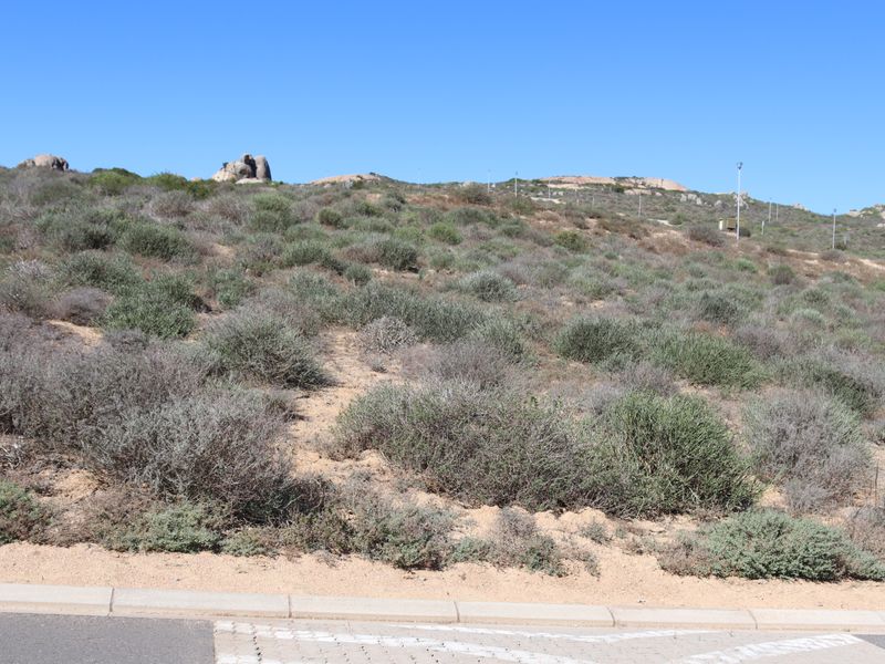 A view of a vacant residential plot featuring natural coastal vegetation and a paved curb along the street frontage.