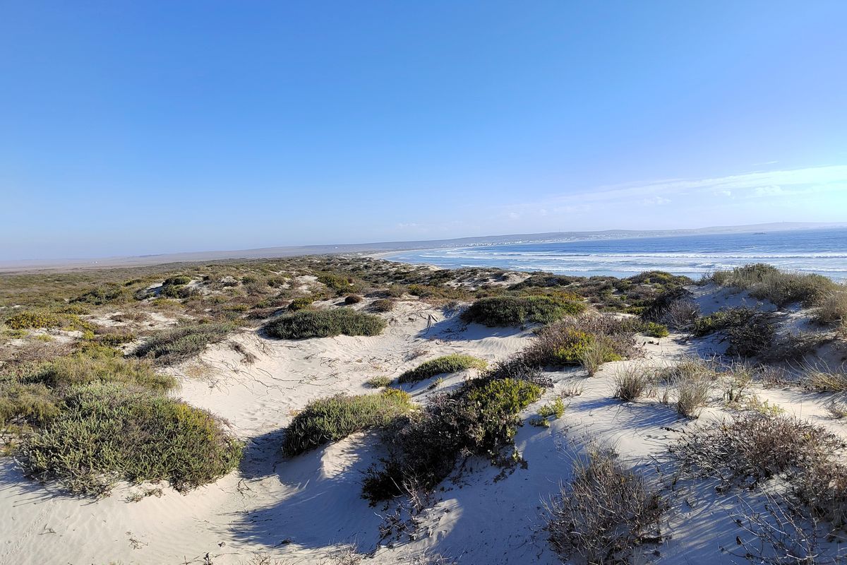 Rare opportunity to own 1.78ha Beach Front land, offering endless possibilities for development. - Photo 2