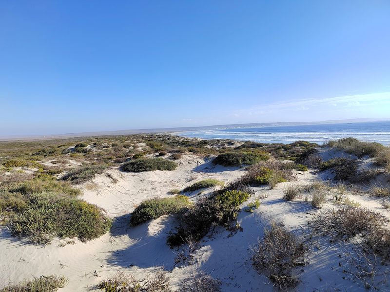 Rare opportunity to own 1.78ha Beach Front land, offering endless possibilities for development. - Photo 2