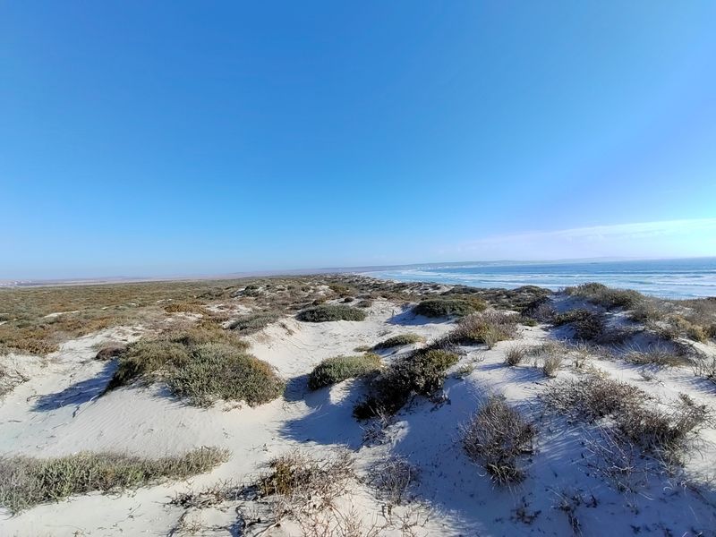 Rare opportunity to own 1.78ha Beach Front land, offering endless possibilities for development. - Photo 4