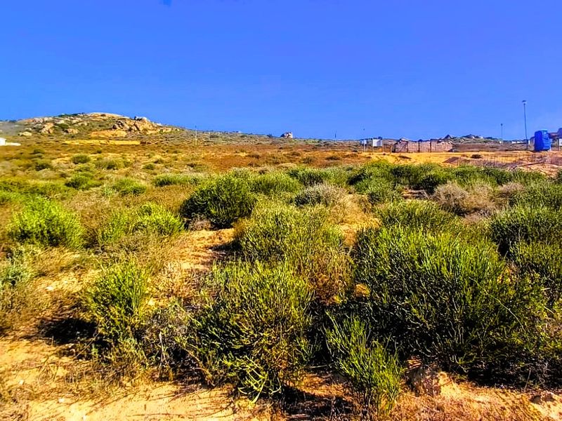 A lovely stand in Steenbergs Cove for R599 000. - Photo 7