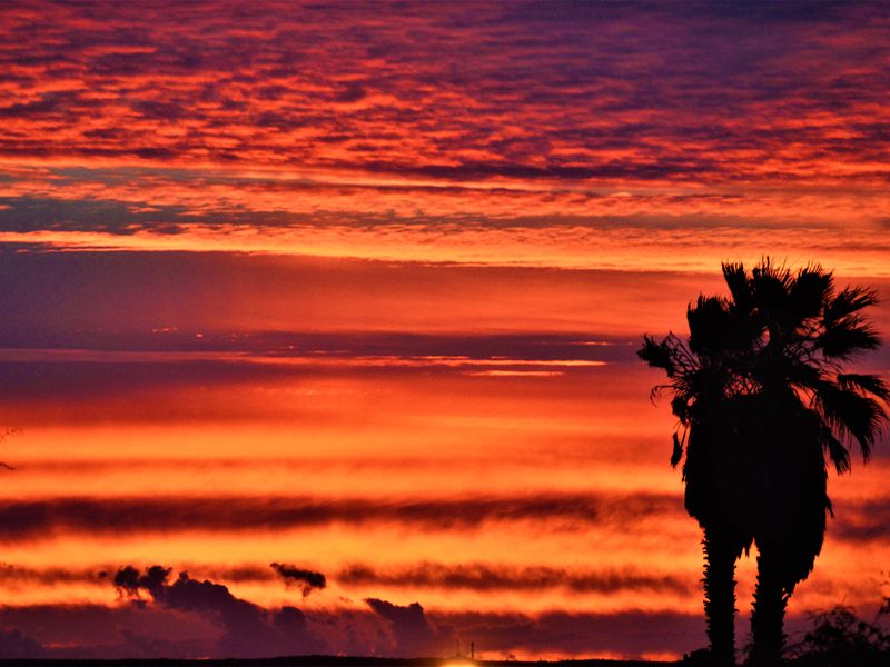 A lovely stand in Steenbergs Cove for R599 000. - Photo 9