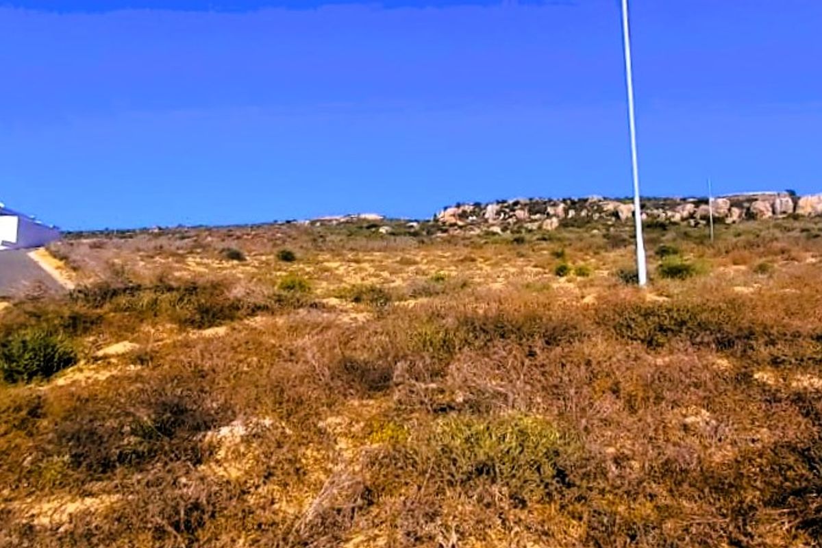 429m2 Plot on the West Coast in St Helena Bay @ R399 000 is not to be scorned!! - Photo 5
