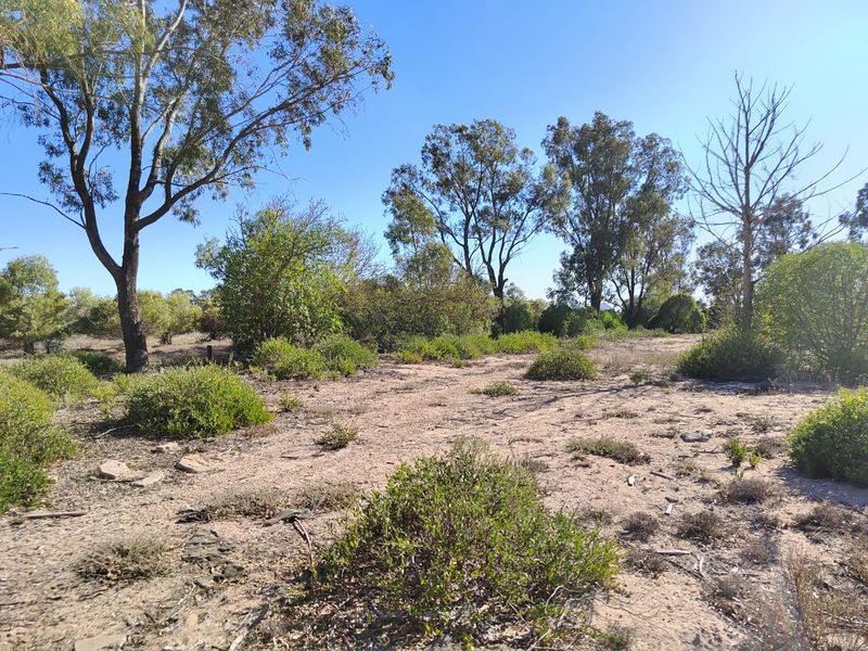 New development in the Britannia beach estate - Photo 4