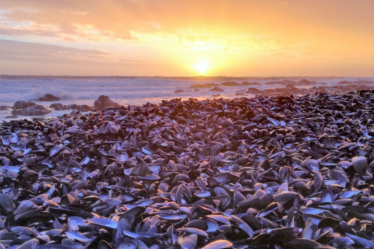 St Helena Bay - Vacant land for sale with Partial ocean views - Photo 5