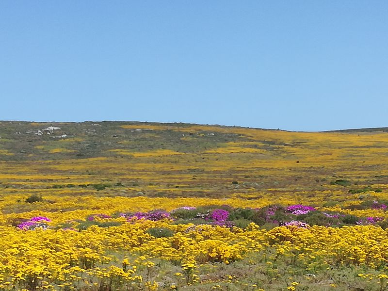 St Helena Bay - Vacant land for sale with Partial ocean views - Photo 7