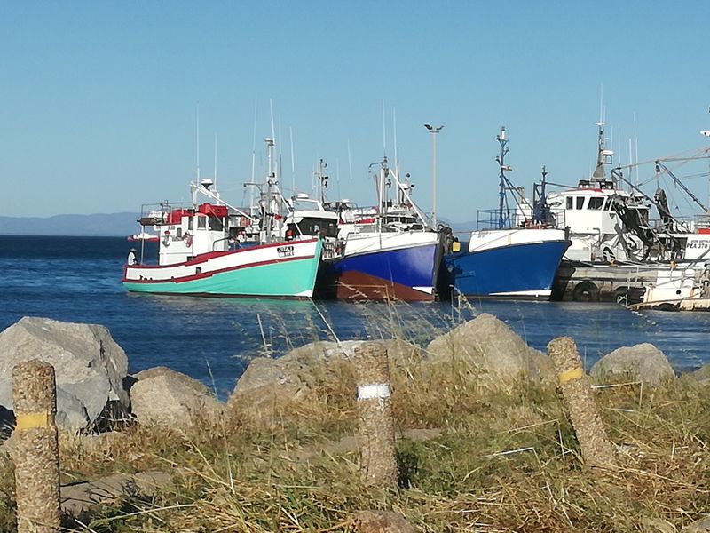 St Helena Bay - New Development  Kapteinskloof Vacant land for sale - Photo 7