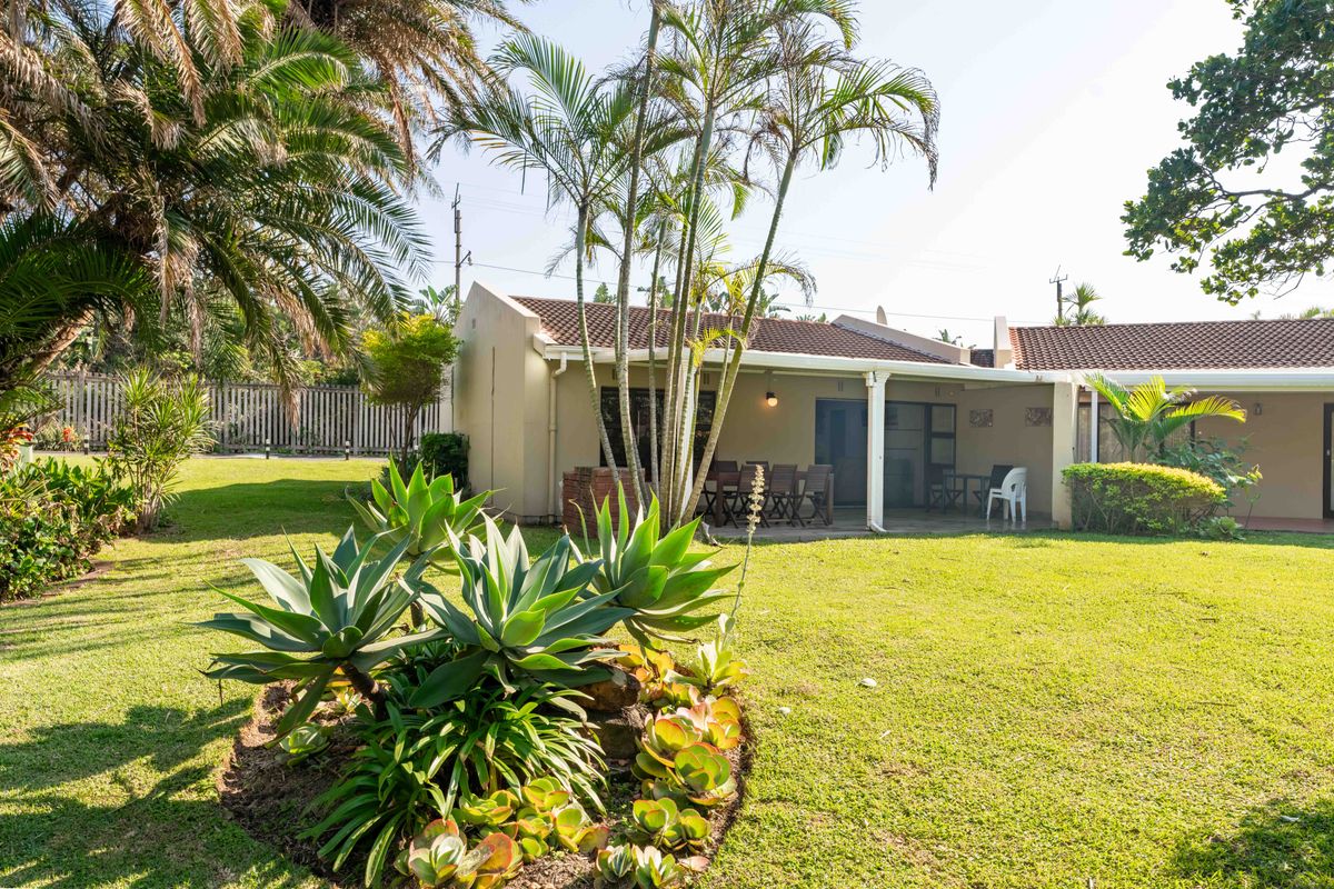 Bird and beach life come together - Photo 2