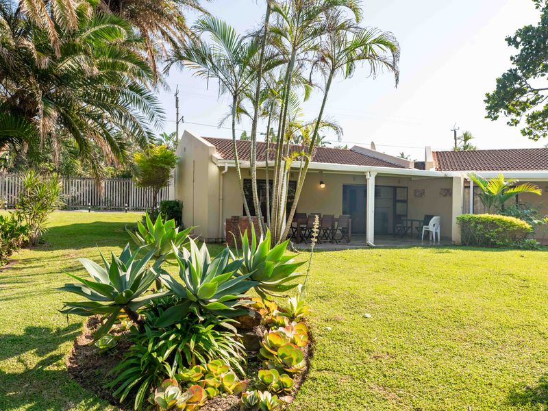 Bird and beach life come together - Photo 2