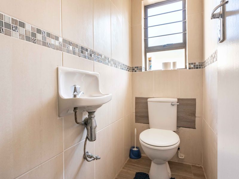 Bird and beach life come together - Photo 8