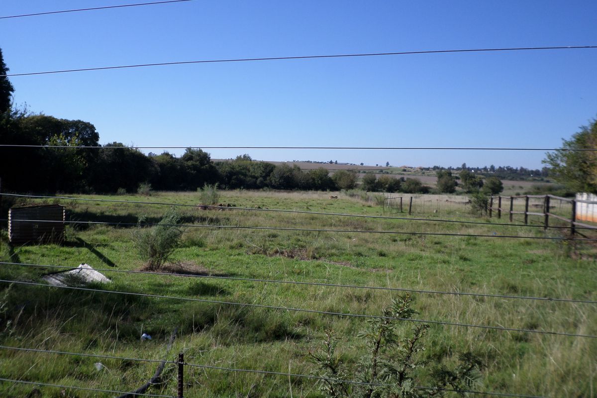 Charming 4-bedroom Small Holding in Ventersdorp - Photo 3