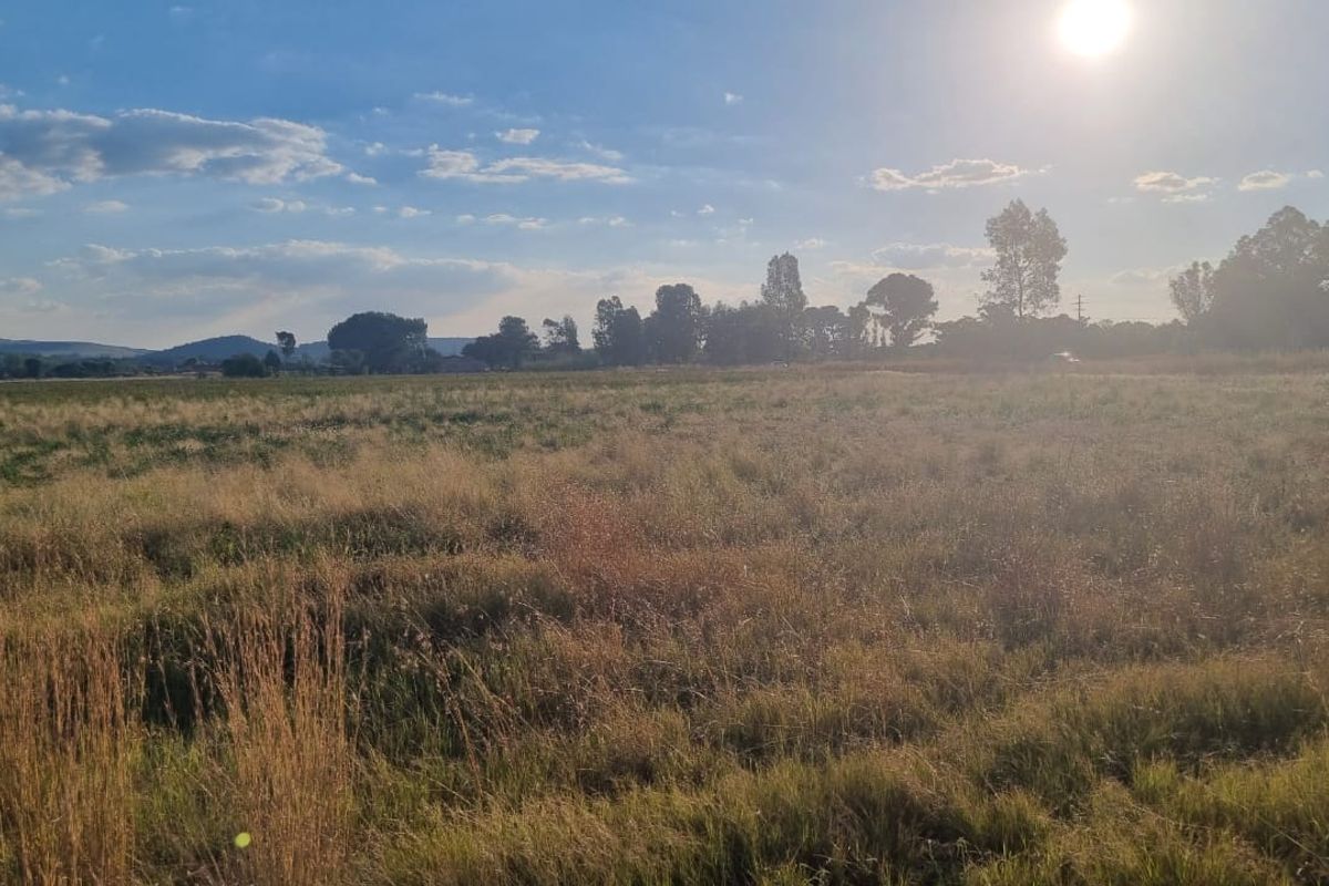 Incredible Deal: Unbeatable Bargain Price! 4HA - Photo 3