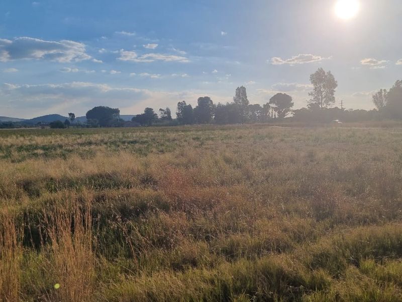 Incredible Deal: Unbeatable Bargain Price! 4HA - Photo 3