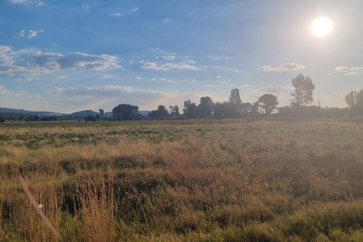 Incredible Deal: Unbeatable Bargain Price! 4HA - Photo 2