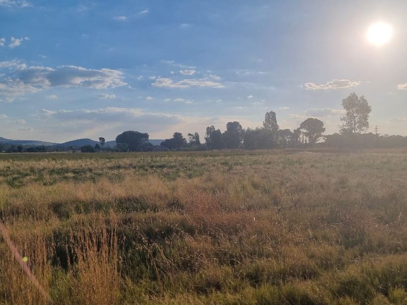 Incredible Deal: Unbeatable Bargain Price! 4HA - Photo 2