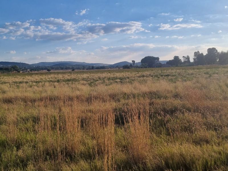Incredible Deal: Unbeatable Bargain Price! 4HA - Photo 1
