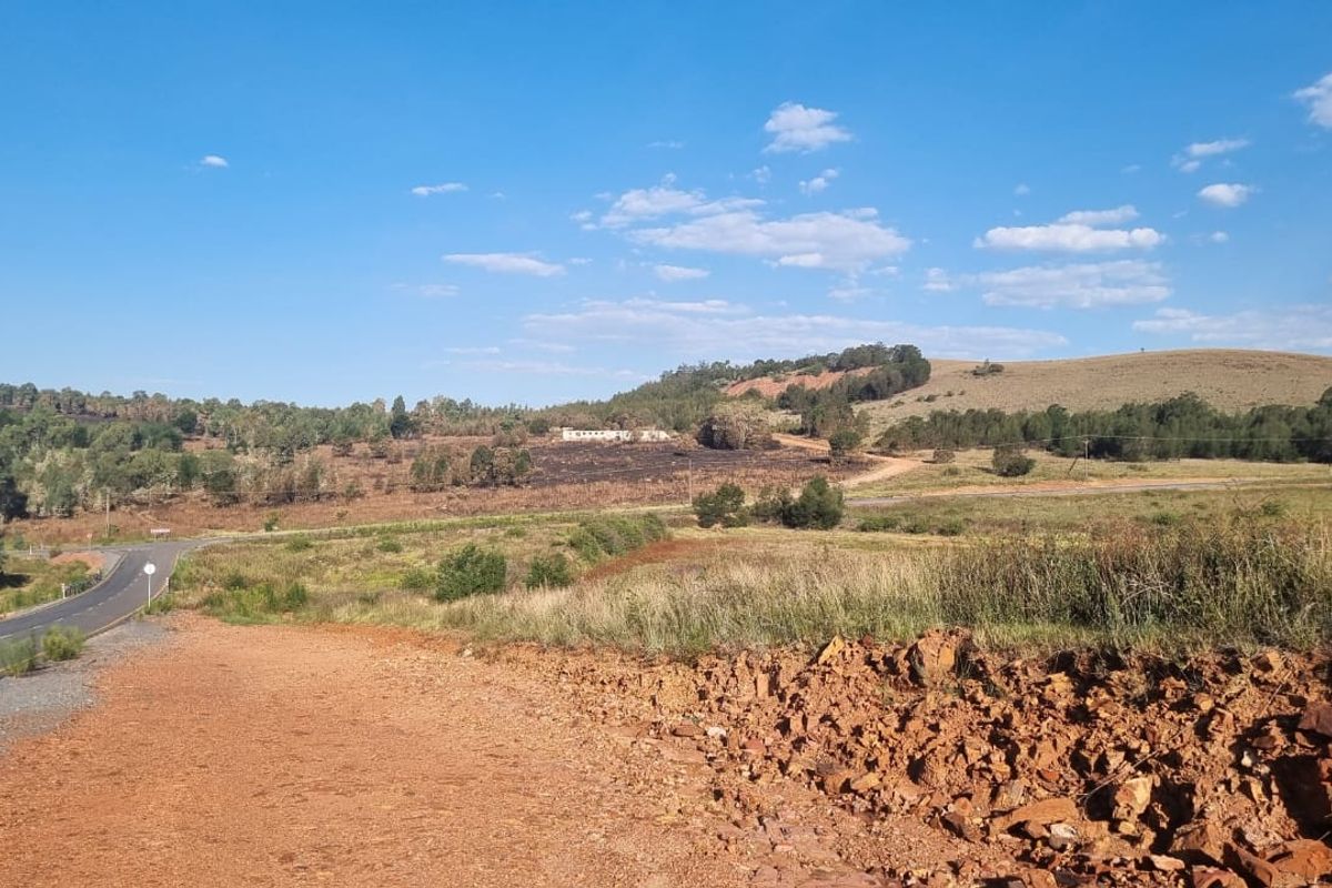 Eye of Africa New Exit – Second Portion Available - Photo 5