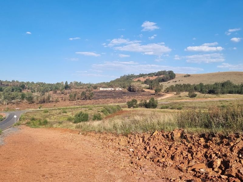 Eye of Africa New Exit – Second Portion Available - Photo 5