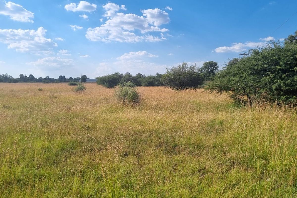 Eye of Africa New Exit – Second Portion Available - Photo 2