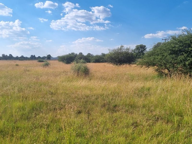 Eye of Africa New Exit – Second Portion Available - Photo 2