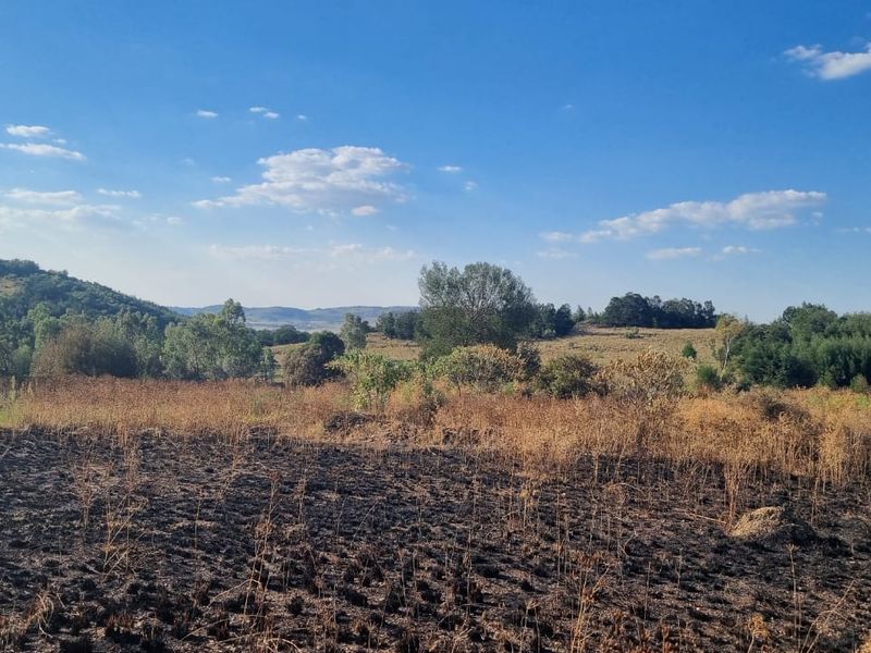 Eye of Africa New Exit – Second Portion Available - Photo 9