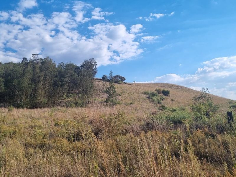 Eye of Africa New Exit – Second Portion Available - Photo 8