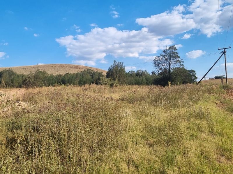 Eye of Africa New Exit – Second Portion Available - Photo 6