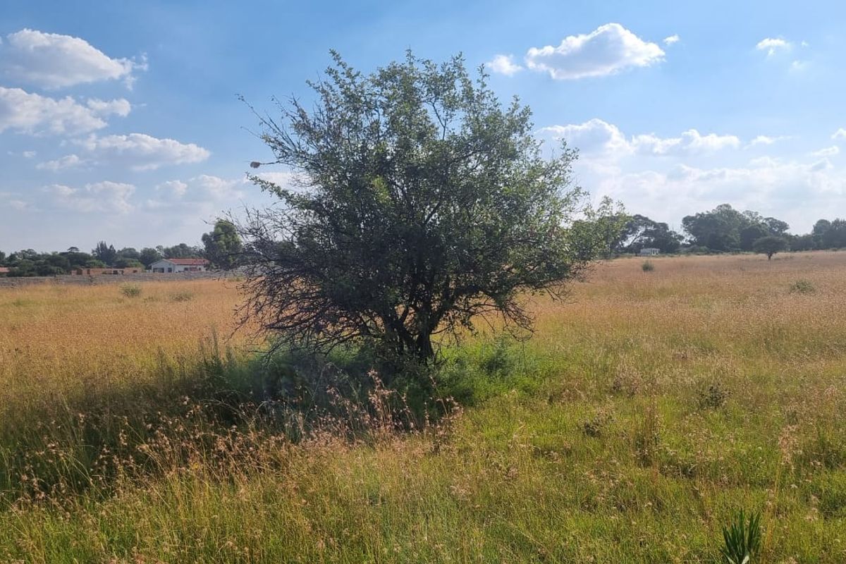 Eye of Africa New Exit – Second Portion Available - Photo 3