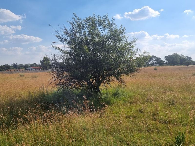 Eye of Africa New Exit – Second Portion Available - Photo 3