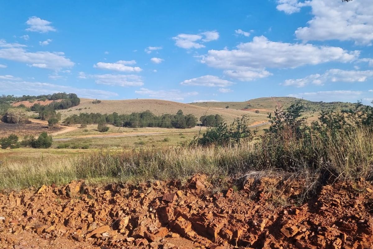 Eye of Africa New Exit – Second Portion Available - Photo 4