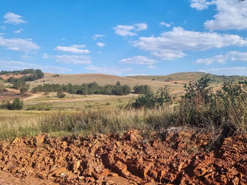 Eye of Africa New Exit – Second Portion Available - Photo 4