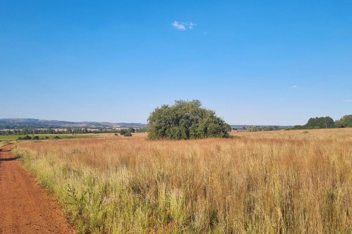 Corner Location: Prime Property at Eye of Africa's New Exit - Photo 3